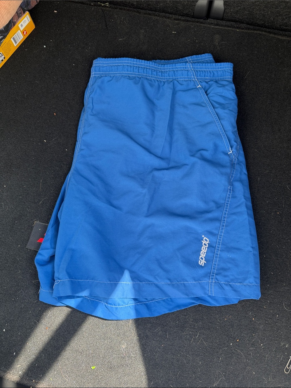 Speedo Royal Blue Swim Shorts with Logo